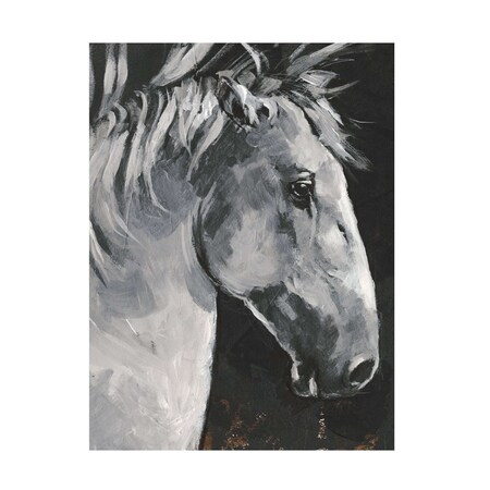 Jennifer Paxton Parker 'Tribeca Horse I' Canvas Art, 18x24
